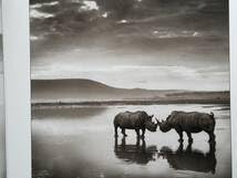 Amazon.co.jp: Nick Brandt A Shadow Falls ニック・ブラント : ホーム